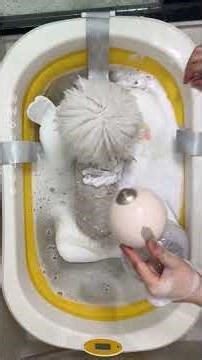 Cute Dog taking a bath #dog #puppy #cute #cutedog #pets #funny