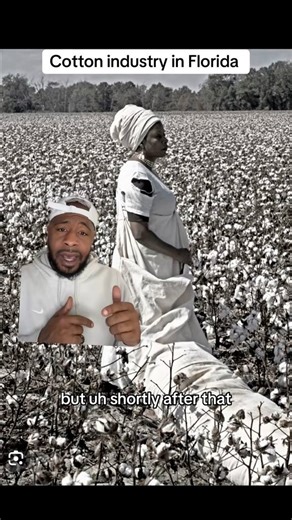 Florida History Repost: North Florida sold more cotton than any other states. If you bought cotton back then good chance it came from Florida #florida #history #cotton #northflorida #cottongin #slavery #plantations | The Hughley’s