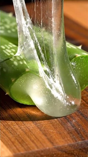 ASMR Harvesting Aloe Vera Slime: Crisp Slicing & Viscous Gel (Macro)