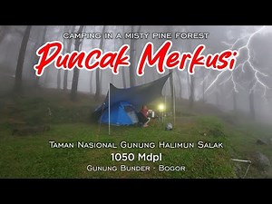 Camping Syahdu di Puncak Merkusi Gunung Bunder Bogor | Jalur Bukit Kabayan | Hutan Pohon Pinus