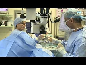 The Cataract Pathway