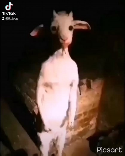 Lo Escuchas: Misterios de Terror en Cabra del Columpio