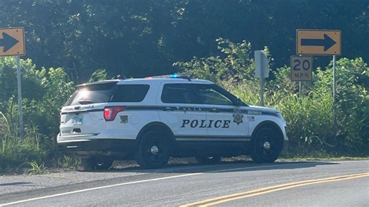 Woman stabbed during morning jog at Turkey Mountain; suspect in custody