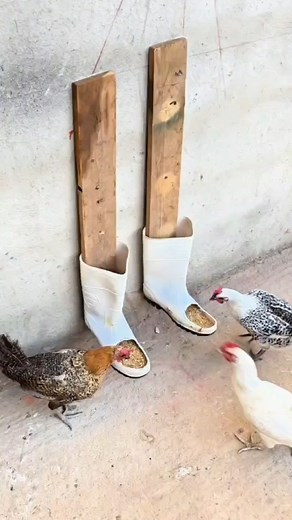 فكرة مفيدة | Creative Ideas l أفكار مبدعة