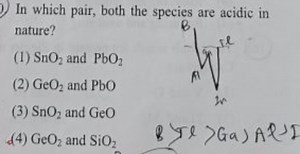 In which pair, both the species are acidic in nature? (1) \math... | Filo