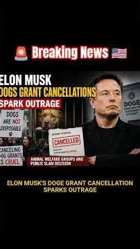 Elon Musk Faces Backlash Over DOGE Cuts 🚨#ElonMusk #DOGE #BreakingNews