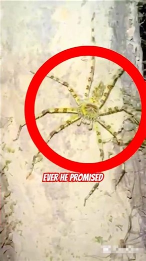 He Went Into the Forest at Night… What He Found Will Haunt You 😱🌲