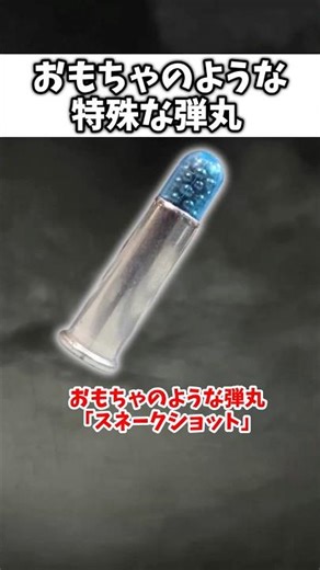 Toy-like bullet "Snake Shot" #SlowShort #SlowExplanation #SlowWeaponExplanation