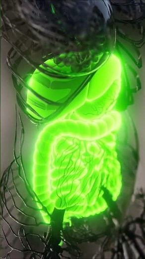 13 Surprising Moringa Benefits Backed by Dr. Berg (The Miracle Tree Explained!) 🌿