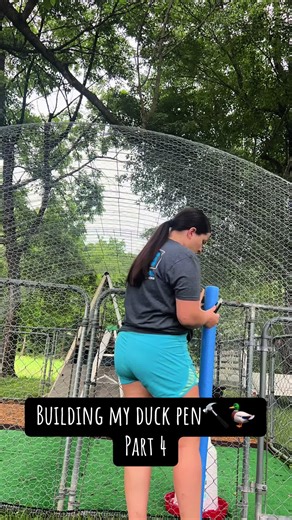 Building a Cozy Duck Pen: Part 4 Insights | TikTok