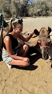 Don't envy the camel 🐪! Join travelfriend.com to find your perfect travel mate! Travelfriend connects thousands of solo travelers across the world. | travelfriend