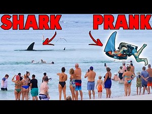 The Best Shark Prank Ever Filmed
