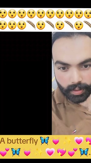 3.4M views · 10K reactions | #animals #animallover #butterfly #rescue...