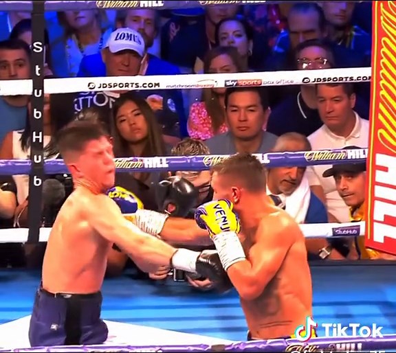 Lomachenko vs Luke Campbell Boxing Match Highlights