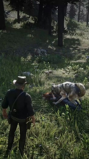 75K views · 961 reactions | This NPC likes wolves  #rdr2 #gaming #funny #shorts | War Gaming 96 | Facebook