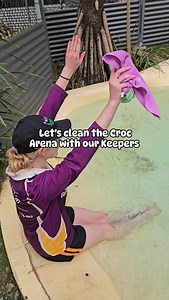 Be croc wise in croc country... always check the croc pool before you start the clean 🐊😂 #crocwise #poolcleaning #cleanthepool #crocarena #wildlifeexperience #fnq #portdouglas #fnq #tropicalnorthqueensland🌴 #australia #portdouglasdaintree | Wildlife Habitat Port Douglas