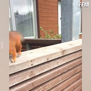 54K views · 894 reactions | Sweet | Italian Dating Girl | Facebook