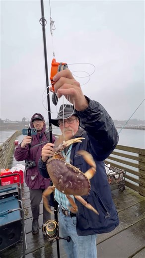 Crab Snaring Oregon Coast #crabbing #fishing #crab #beach #oregon #fishingtips #fisherman #travel