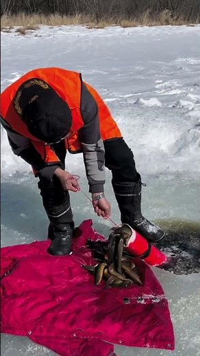 UNBELIEVABLE! Pulling a Never-Ending Stream of Fish from Under the Ice! 🥶🐟​#IceFishing​#Fishing