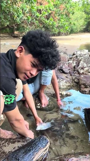 Catch & Cook: 24 Hours on a Deserted Island" atau "Surviving with ZERO food. #CatchAndCook⁠ ⁠#Island