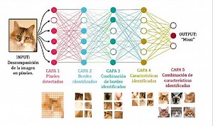 Redes neuronales convolucionales: El poder detrás del reconocimiento de imágenes
