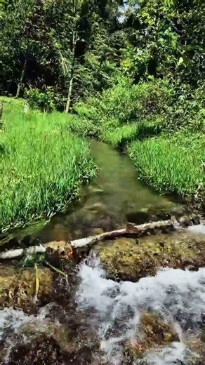The Most Beautiful Waterfall View – Very Clear #nature #waterfall #beautiful #shorts #mountains