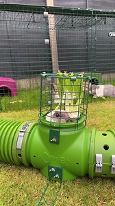 Now this is the life all bunnies aspire to. 😍 This obstacle course is packed with ways to get your rabbits running and jumping for joy. | Omlet USA