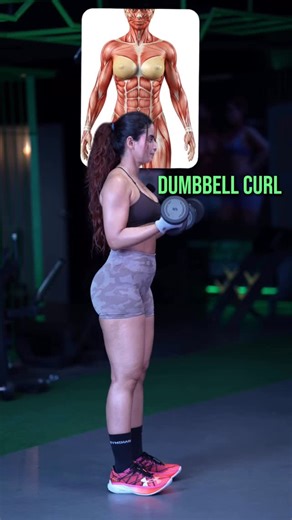 MEHER SHAIK on Instagram: "Comment MS for detailed workout protocol guide. To get personalised consultation by me, you can fill out the consultation form - Link in bio . Save and share this guide with your family and friends to plan their workouts better ."