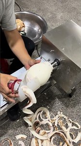 芋頭削皮機 針對芋頭表皮難削，人工耗時等難題，這臺削皮機削皮絲滑，每小時產能在300公斤左右。不管是工廠用還是家用，都能適配，實實在在提升削皮效率！ #削皮機#農產品深加工#芋頭削皮#農業自