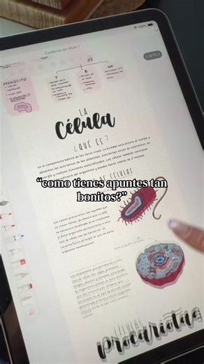 les gustaría que haga tutorial? #apuntesdigitales #universidad #apuntesdigitalesbonitos #freenotes facultad - estudio - apuntes digitales - apuntes bonitos - universidad