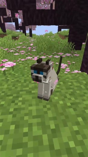 They all enjoyed their Pats ^^ #minecraftshorts #cute