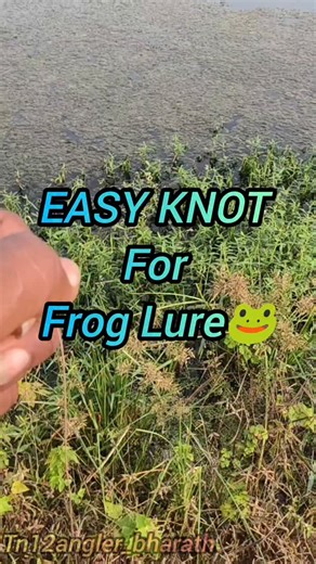 Bharath Kumar | Easy knot for frog lure 🐸 Simple to tie, super strong on strike 💪 Perfect for snakehead fishing 🎣 Save & try it next time! 📞 DM us or... | Instagram