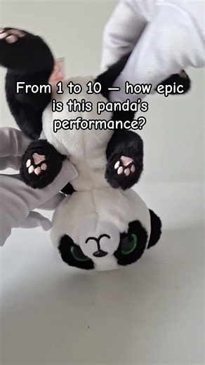 Breakdancing Panda Breaks the Floor!