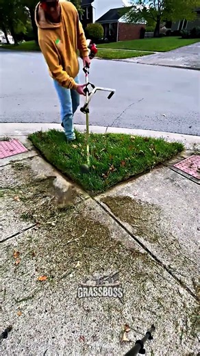 Sharp Walkway Lawn Edges and Clean Borders for Polished Finish 🚶 | #lawncare #trimming