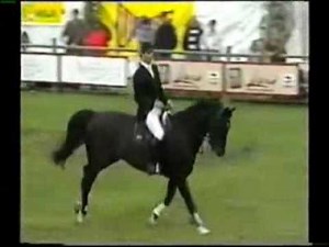 Record du monde puissance Franke Slootaak 2m40