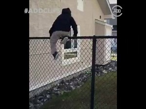 342K views · 2.7K shares | Bruhhh these clips got me in tears  | All Def | Facebook