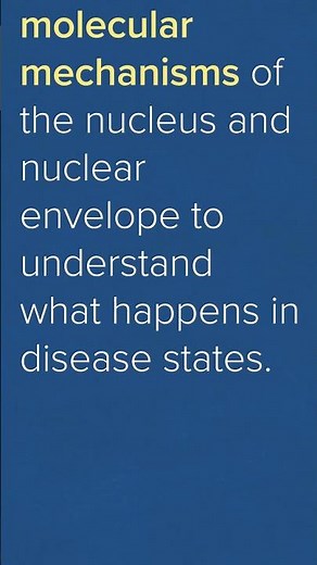 The Nucleus - A Basic Explanation
