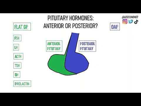 62 SECONDS on REMEMBERING the PITUITARY HORMONES (Easy to remember mneumonics!)