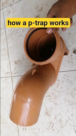 How A P-Trap Works l P Trap#shorts