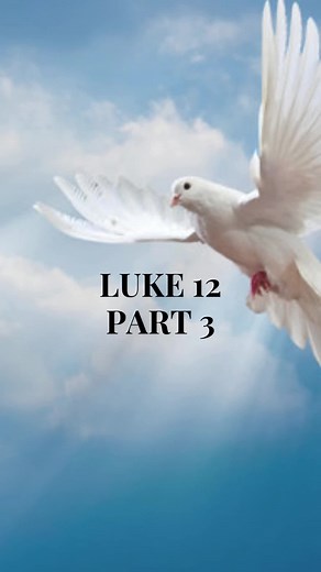 My Bible Study on TikTok