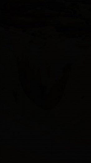 4.8M views · 10K reactions | Do you think you could climb this? ↗️ #MyCanyon #CLLCTV #CanyonSpectral #AllWaysTrail #Bike #MTB  @braydonbringhurst  @burstmediacreative | @torypowers | Canyon | Facebook