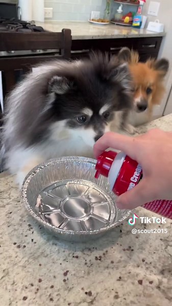 This is the ONLY way to color eggs😳🥚… #hacks #diy #easter #eggcoloring