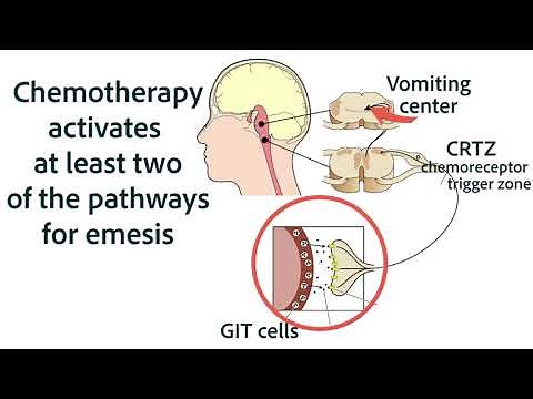 Antiemetics for Chemotherapy and GIT Origins