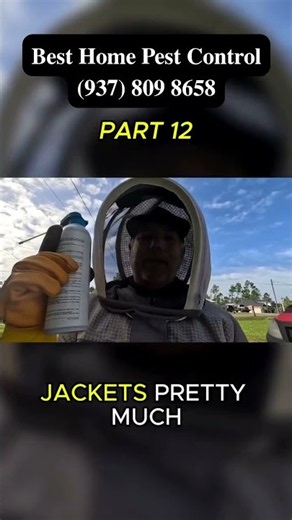 Walking Straight Into a Swarm of 3,000 Angry Yellow Jackets! #pestcontrol