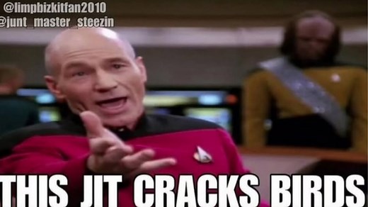 This Jit Cracks Birds | Know Your Meme