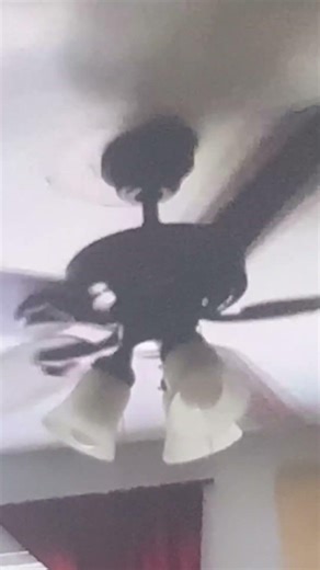 Ceilling fans in my friendo house