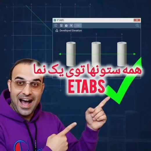 همه ستونها در یک نما ETABS!