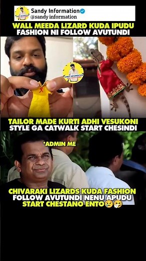MAN MADE DRESS FOR 🦎🤣#lizard#animal#dress#funny#comedy#cloth#memes#shorts#trending#telugumemes#viral