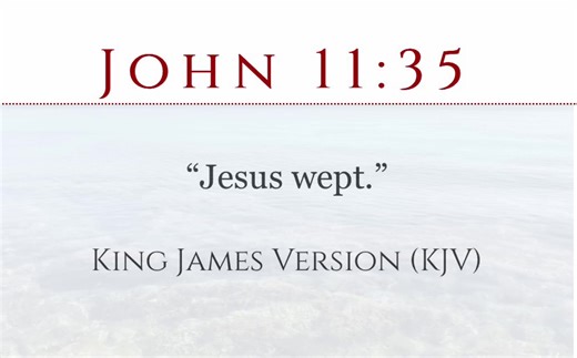 When He saw them weeping, He wept. He then pressed on and completed a miracle. This can happen today too for His children. He sees your weeping and if you move out of the way, He can do a miracle in your life too. Shalom #jesus #christiantiktok #christian #faith #believe
