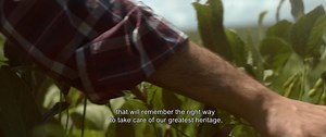 The decisions we take today make and will make the difference, even in the future. Row crops have an essential role being fundamental for the food production: produce more using less resources is possible, and the farmers that uses Valagro solutions know it very well. This video is for them, and for all the people that every day are committed to sustainable and effective agriculture. Watch and share the video with us! | Syngenta Biologicals